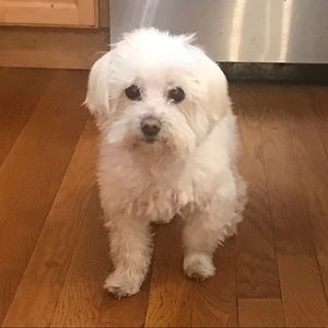 Meet your Posher, Catherine